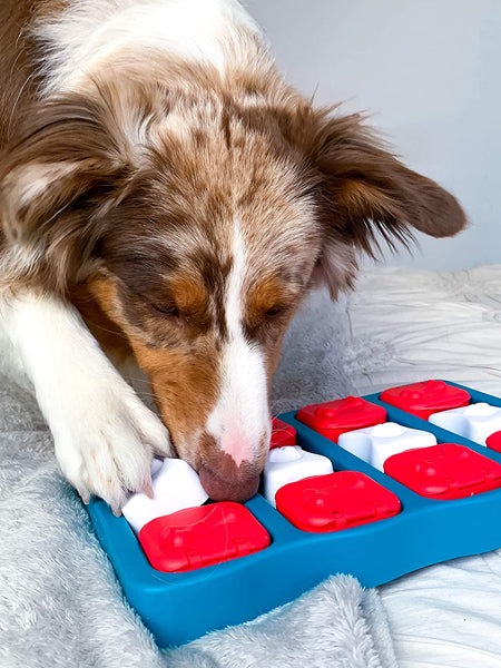 Outward-hound-jouet-interactif-puzzle-pour-chien-dog-brick-2