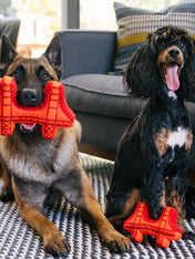         Pet-play-jouet-peluche-chien-Totally-Touristy-pont-san-francsico