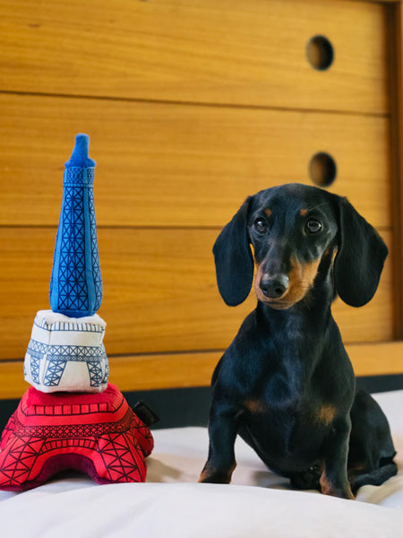     Pet-play-jouet-peluche-chien-Totally-Touristy-tour-effeil
