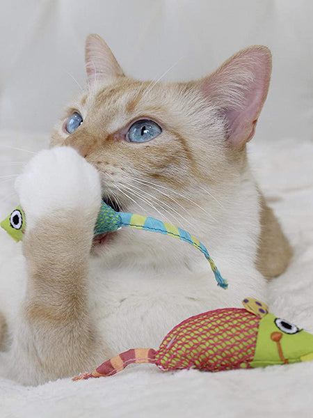 Petstages-jouet-pour-chat-souris-herbe-a-chat-catnip-chew-mice