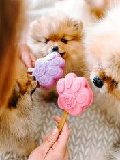 Smoofl-glace-pour-chien-fraise