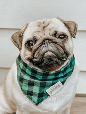 The-Paws-bandana-pour-chien-Bourbon