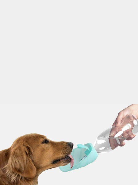    United-pets-gourde-eau-pour-chien-leaf-rose