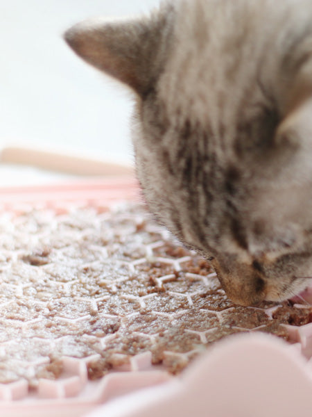 inooko-Tapis-lechage-chat
