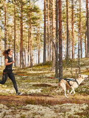        non-stop-dogwear-harnais-freemotion