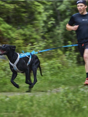     non-stop-dogwear-harnais-freemotion-bleu