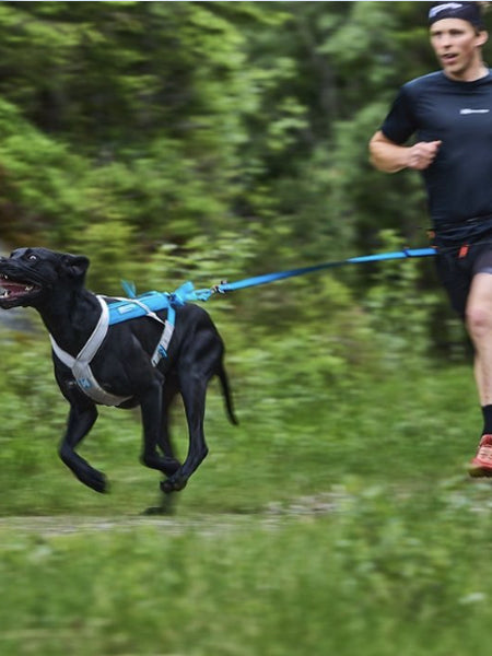     non-stop-dogwear-harnais-freemotion-bleu