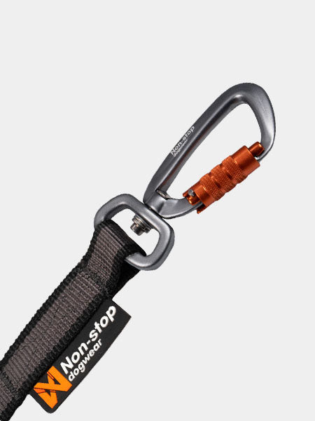     non-stop-dogwear-ligne-chien-laisse-TOURING-BUNGEE