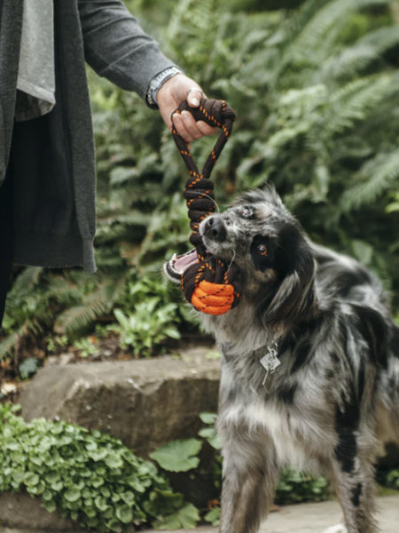     pet-play-jouet-en-corde-chien-Tug-Ball