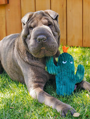       pet-play-peluche-chien-blooming-buddies-cactus