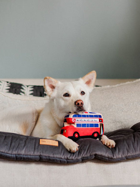 pet-play-peluche-chien-bus-london