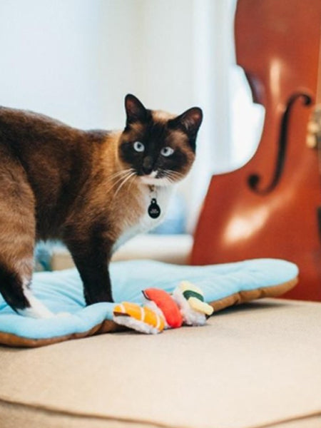petplay Jouet pour chat à cataire biologique sushi