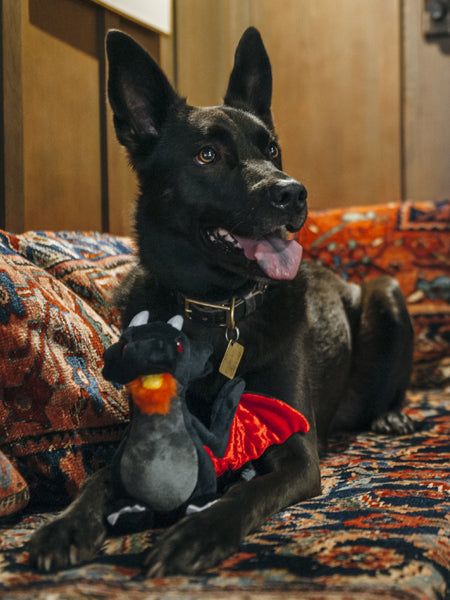 pet-play-jouet-pour-chien-ecologique-dragon