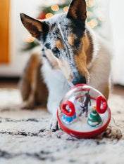 wobble-ball-jouet-ludique-pour-chien