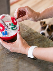 wobble-ball-jouet-puzzle-pour-chien