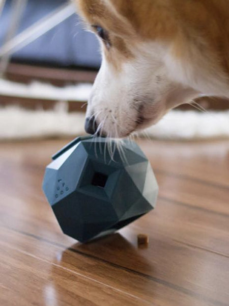       up-dog-jouet-interactif-distributeur-friandises-pour-chein-the-odin-noir