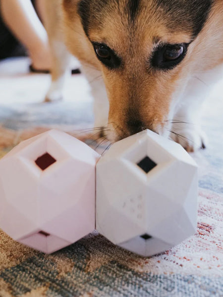       up-dog-jouet-interactif-distributeur-friandises-pour-chein-the-odin-gris
