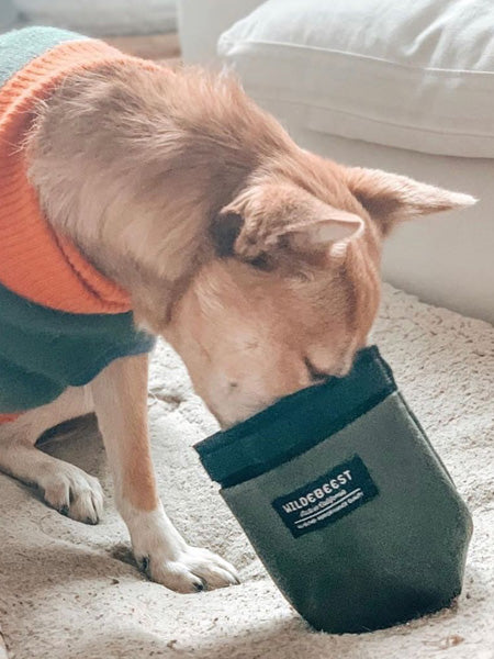     wildebeest-sac-de-friandises-vert-pour-chien