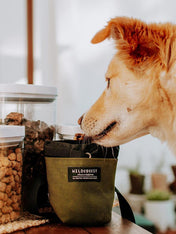     wildebeest-sac-de-friandises-vert-pour-chien