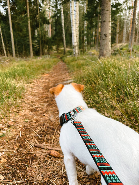 woolywolf-laisse-pour-chien-woodland