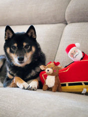       zippy-paws-peluche-pour-chien-Holiday-Burrow-Santa_s-Sleigh