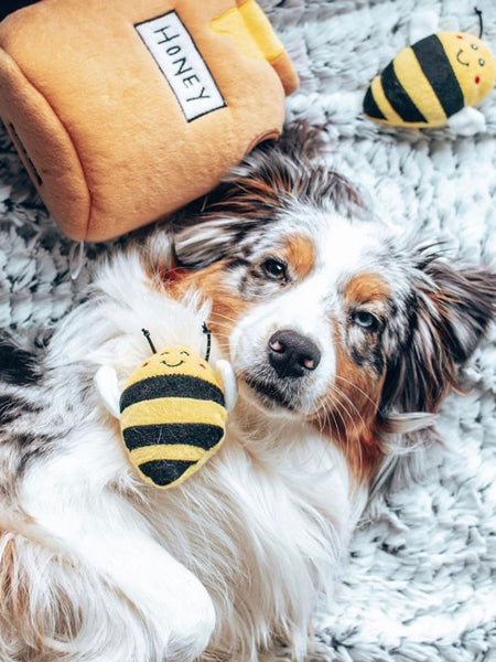 zippy-paws-peluche-pour-chien-honey-pot