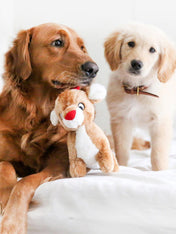      zippy-paws-peluche-pour-chien-rudolph-le-renne